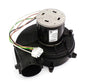 NBK-20717 BLOWER MOTOR 115V 60HZ